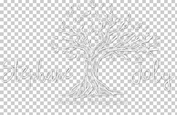 Lille Arras Photographer Wedding Photography PNG, Clipart, Arras, Artwork, Black And White, Branch, Drawing Free PNG Download