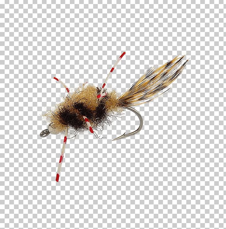 Artificial Fly Crab Holly Flies Insect PNG, Clipart, Arthropod, Artificial Fly, Cdc, Crab, Donkey Stone Free PNG Download