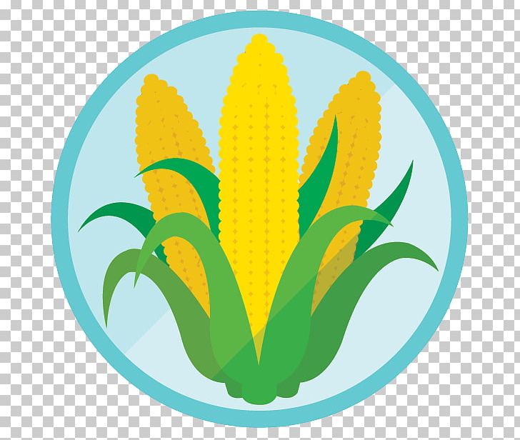 Sunflower M Line Leaf PNG, Clipart, Chicago City, Flower, Flowering Plant, Grass, Green Free PNG Download