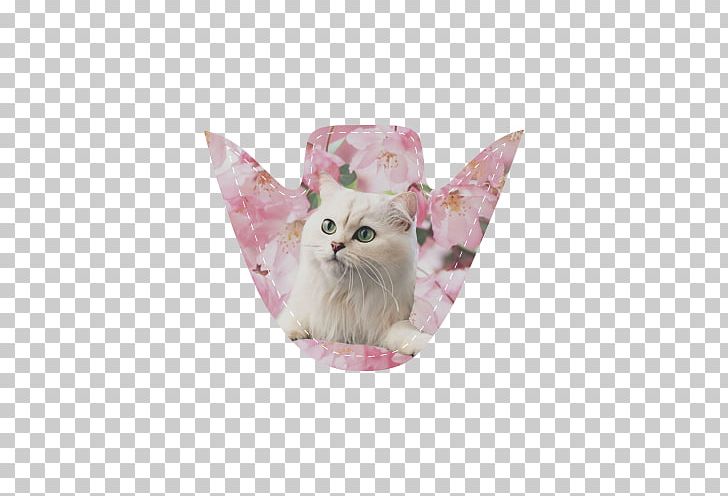 Whiskers Cat Flower Old Lace Blume PNG, Clipart, Animals, Blume, Carnivoran, Cat, Cat Like Mammal Free PNG Download
