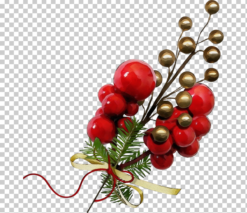 Christmas Decoration PNG, Clipart, Berry, Branch, Christmas Decoration, Christmas Tree, Flower Free PNG Download