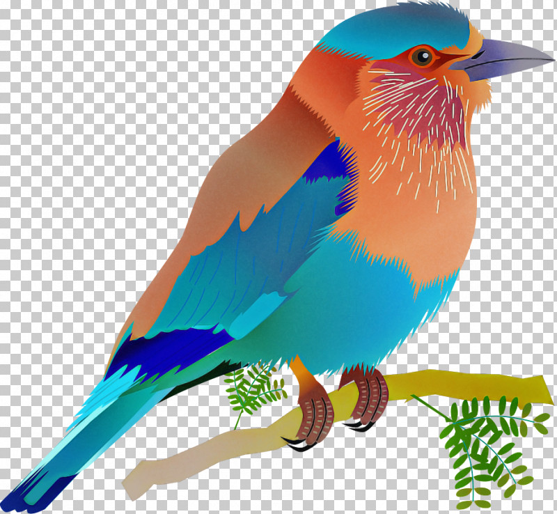 Bird Beak Eastern Bluebird Bluebird Roller PNG, Clipart, Beak, Bird, Bluebird, Coraciiformes, Eastern Bluebird Free PNG Download