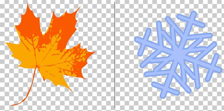 Autumn Leaf Color Maple Leaf Sassafras PNG, Clipart, Autumn, Autumn Leaf Color, Computer Wallpaper, Flowering Plant, Green Free PNG Download