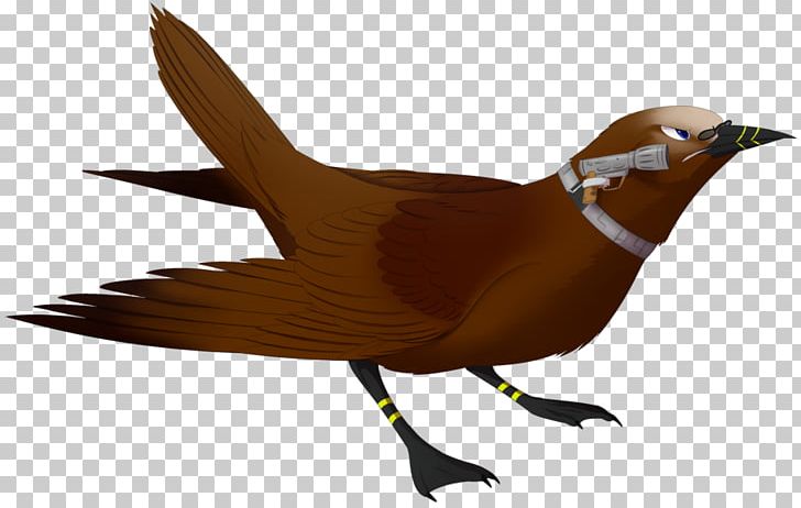 Beak Bird Galliformes Fauna Wing PNG, Clipart, Animals, Beak, Bird, Fauna, Feather Free PNG Download