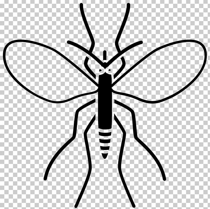 Insect Drawing Charcoal Line Art PNG, Clipart, Animal, Arthropod, Artwork, Black And White, Brush Footed Butterfly Free PNG Download