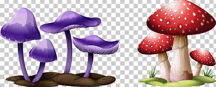 Mushroom Festival Drawing Illustration PNG, Clipart, Art, Color, Edible Mushroom, Euclidean Vector, Flower Free PNG Download