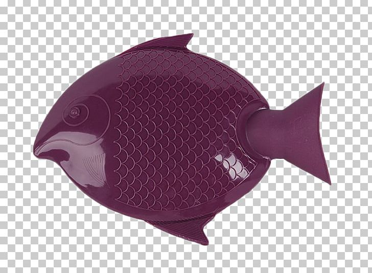 Parrotfish Blood Parrot Cichlid Hot Water Bottle PNG, Clipart, Blood Parrot Cichlid, Bottle, Cichlid, Filled, Fish Free PNG Download