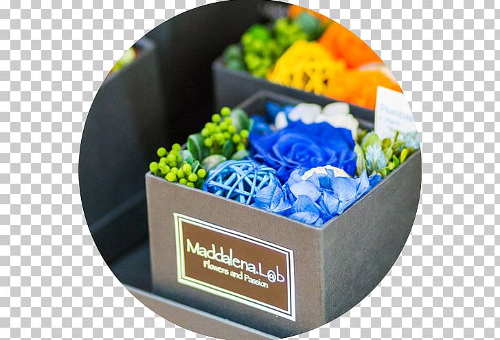 Floral Design Le Fiore & Le Piante Del Maggy Cut Flowers Plant PNG, Clipart, Boutique, Cobalt Blue, Cut Flowers, Floral Design, Floreal Free PNG Download