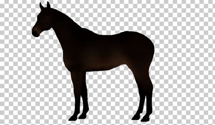 Horse PNG, Clipart, Art, Breyer Animal Creations, Bridle, Colt, Drawing Free PNG Download
