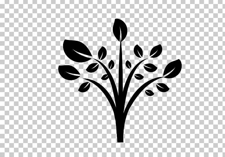 Logo Tree Branch PNG, Clipart, Agriculture, App, App Store, Black And White, Branch Free PNG Download