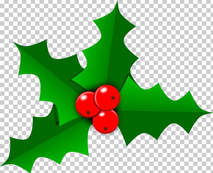Santa Claus Christmas Decoration Gift PNG, Clipart, Aquifoliaceae, Aquifoliales, Biblical Magi, Christmas, Christmas And Holiday Season Free PNG Download