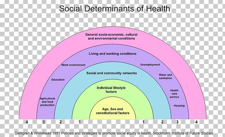 Social Determinants Of Health Health Care Public Health Population Health PNG, Clipart, Angle, Area, Brand, Circle, Diagram Free PNG Download