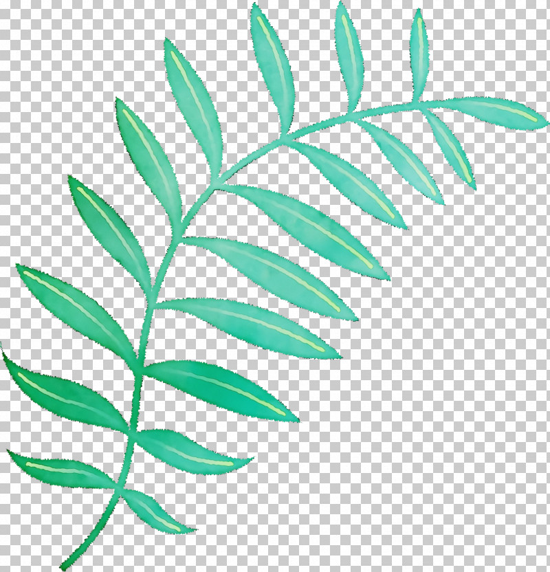 Plant Stem Branch Leaf Line Plants PNG, Clipart, Biology, Branch, Leaf, Line, Paint Free PNG Download