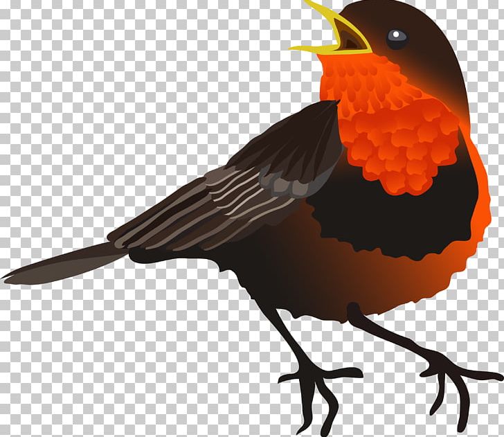 Bird PNG, Clipart, Animals, Beak, Bird, Birds, Christmas Free PNG Download