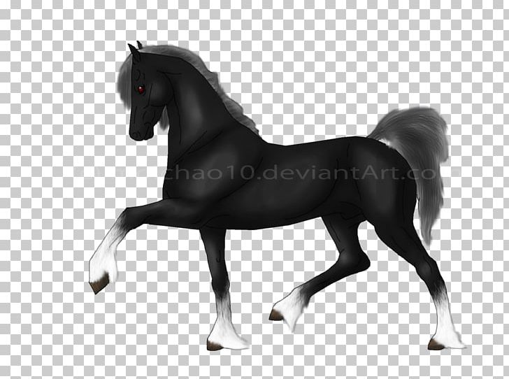 Stallion Pony Halter Mustang Bridle PNG, Clipart, Ariados, Black And White, Bridle, Drawing, Halter Free PNG Download