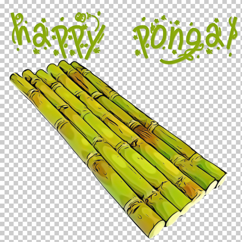 Asparagus Bamboo Plant Bamboo Shoot Vegetable PNG, Clipart, Asparagus, Bamboo, Bamboo Shoot, Plant, Plant Stem Free PNG Download