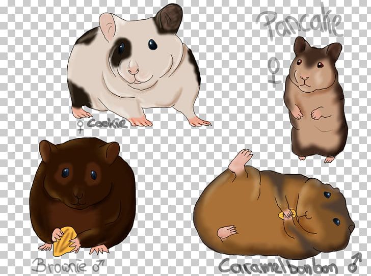 Hamster Computer Mouse Fauna Snout Carnivora PNG, Clipart, Carnivora, Carnivoran, Computer Mouse, Electronics, Fauna Free PNG Download