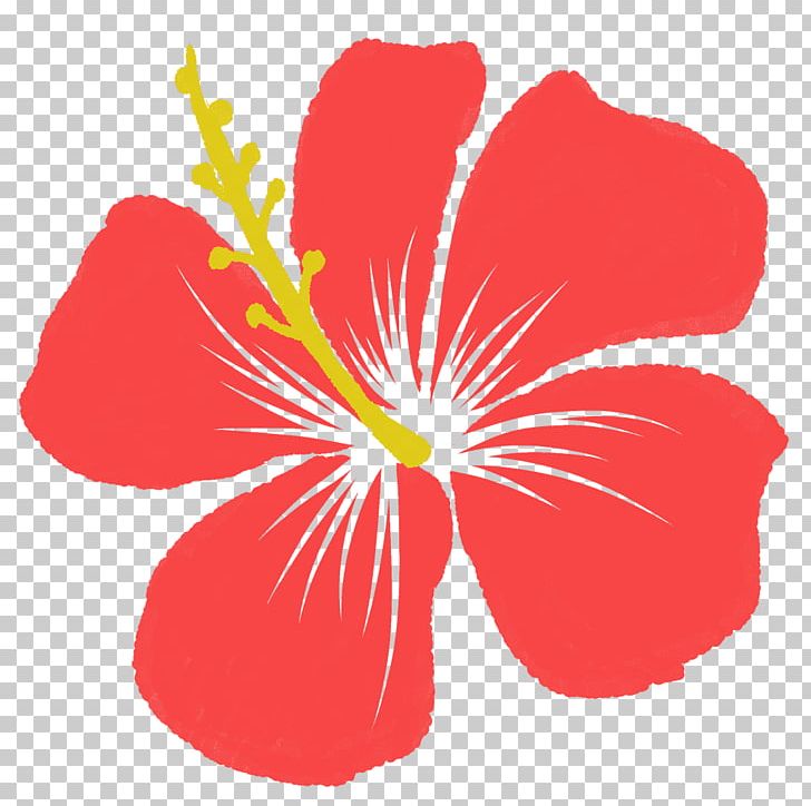 Hibiscus Red ハイビスカス PNG, Clipart, Flora, Flower, Flowering Plant, Hibiscus, Mallow Family Free PNG Download