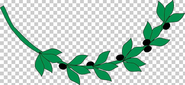 Olive Branch PNG, Clipart, Branch, Computer Icons, Food Drinks, Grass, Green Free PNG Download
