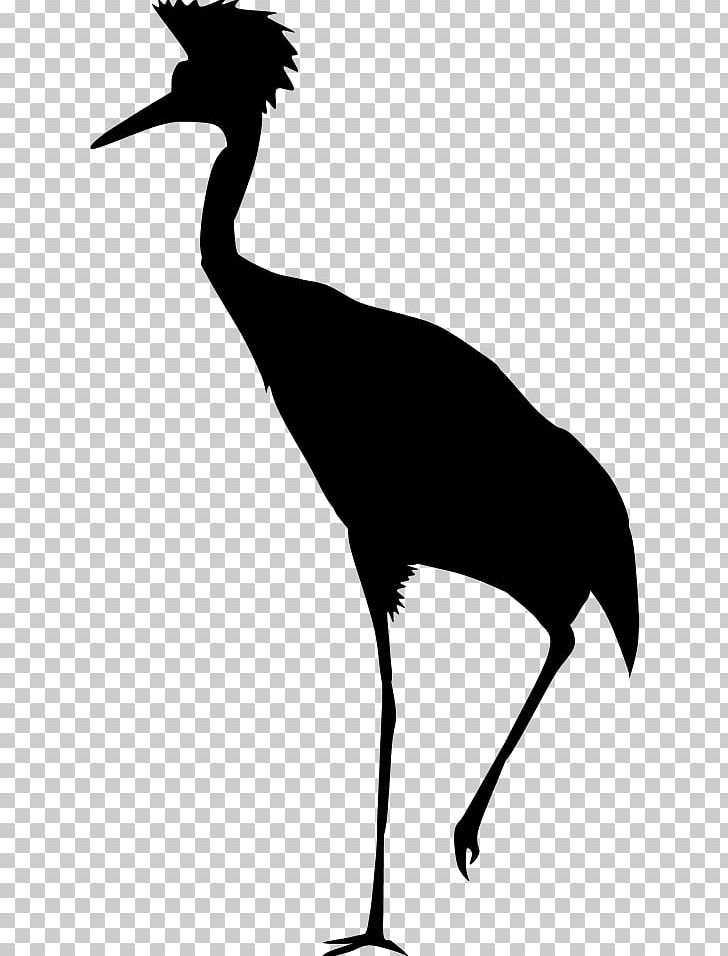 Water Bird Beak Silhouette PNG, Clipart, Animals, Beak, Bird, Black, Black And White Free PNG Download