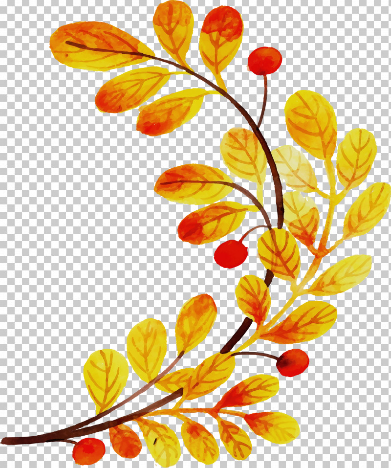 Floral Design PNG, Clipart, Autumn Leaf, Colorful Leaf, Flora, Floral Design, Paint Free PNG Download