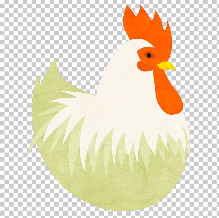 Rooster Bird Beak PNG, Clipart, Animals, Beak, Bird, Chicken, Chicken Meat Free PNG Download