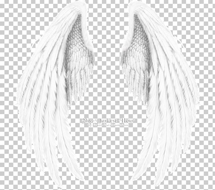Angel Wing Angel Wing Black And White PNG, Clipart, Angel, Angel Wing, Avatan, Avatan Plus, Bird Free PNG Download
