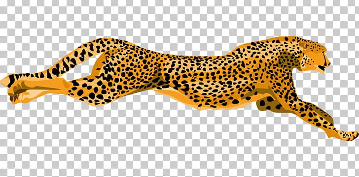 Cheetah PNG, Clipart, Animal Figure, Animals, Art, Big Cats, Carnivoran Free PNG Download