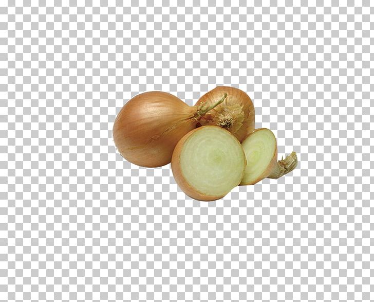 Chutney Shallot Marmalade Vegetable Yellow Onion PNG, Clipart, Allium Fistulosum, Bulb, Chutney, Food, Fried Onion Free PNG Download