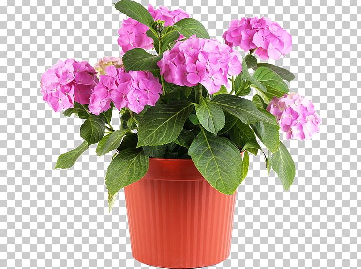 Flowerpot Garden Vase Landscaping Ceramic PNG, Clipart, Agriculture, Annual Plant, Building, Busy Lizzie, Company Free PNG Download