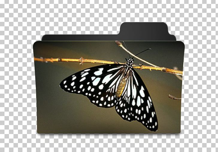 Monarch Butterfly Computer Icons Pieridae PNG, Clipart, Arthropod, Brush Footed Butterfly, Butterfly, Computer Icons, Directory Free PNG Download