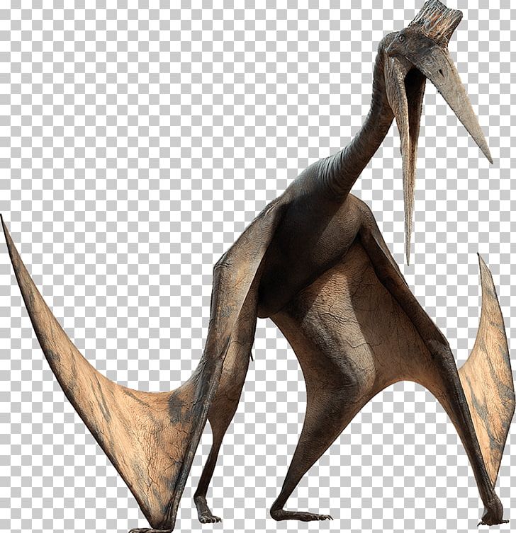 Pterosaurs Quetzalcoatlus Dinosaur Pachyrhinosaurus ARK: Survival Evolved PNG, Clipart, Ark Survival Evolved, Chased By Dinosaurs, Dinosaur, Fantasy, Neoazhdarchia Free PNG Download