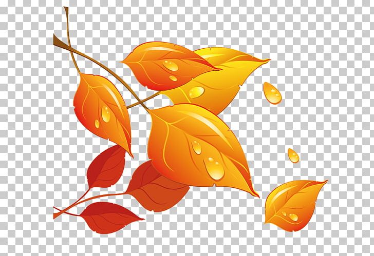 Autumn Leaf PNG, Clipart, Albom, Art, Autumn, Autumn Leaves, Computer Wallpaper Free PNG Download
