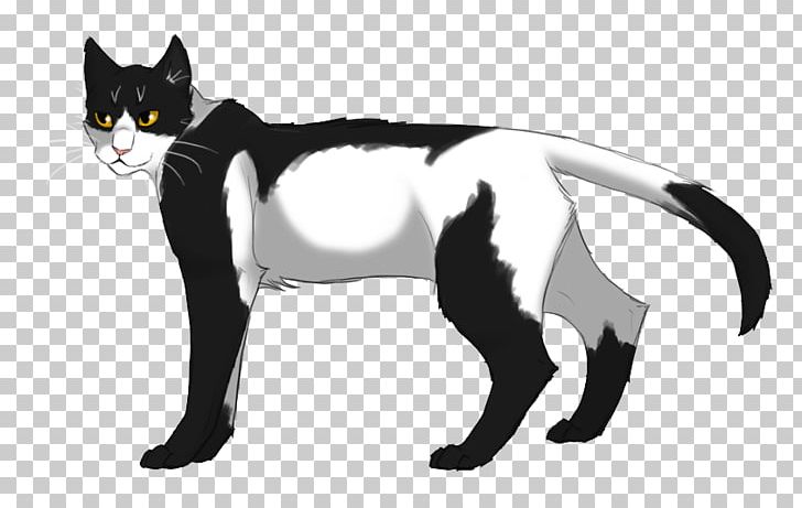 Cat Warriors Fading Echoes Tallstar PNG, Clipart, Animals, Art, Black And White, Black Cat, Carnivoran Free PNG Download