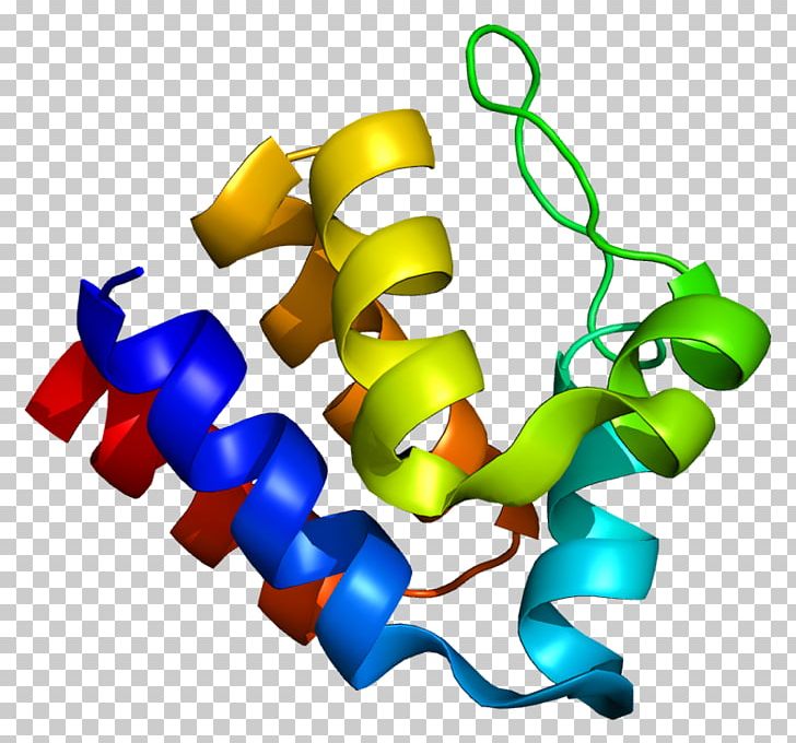 PYCARD Signal Transducing Adaptor Protein CARD Domain Pyrin Domain PNG, Clipart, Apoptosis, Card Domain, Clathrin, Genetic Code, Line Free PNG Download