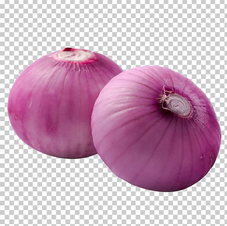 Red Onion Shallot Beefsteak Vegetable PNG, Clipart, Allium Fistulosum, Barbecue, Beef, Beefsteak, Food Free PNG Download