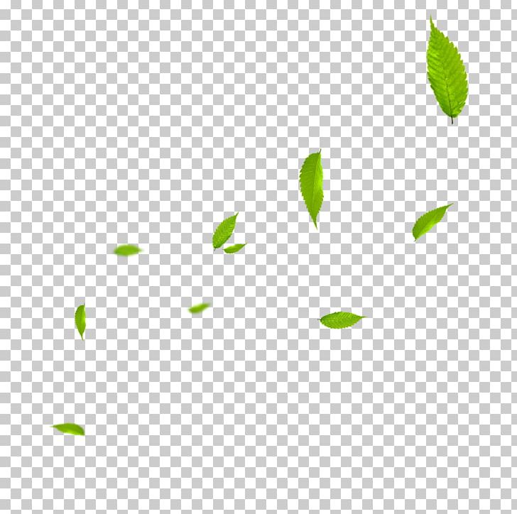 Watermark PNG, Clipart, Angle, Autumn Leaves, Banana Leaves, Creative, Creatives Free PNG Download