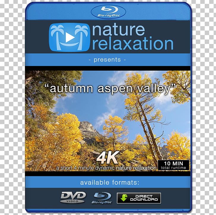 4K Resolution 1080p Ultra-high-definition Television Display Resolution PNG, Clipart, 4k Resolution, 1080p, Computer Monitors, Display Device, Display Resolution Free PNG Download