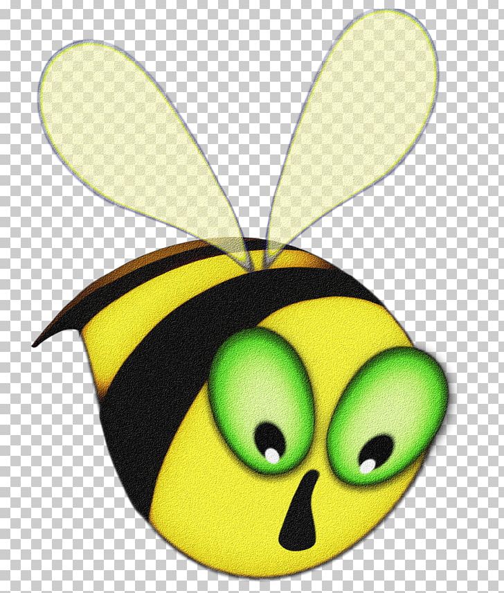 Insect Pollinator Smiley Fruit PNG, Clipart, Animals, Fruit, Insect, Invertebrate, Membrane Winged Insect Free PNG Download