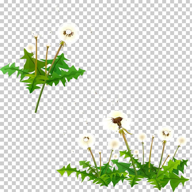 Desktop Plant Stem Leaf Computer Flower PNG, Clipart, Branch, Computer, Computer Wallpaper, Dandelion, Desktop Wallpaper Free PNG Download