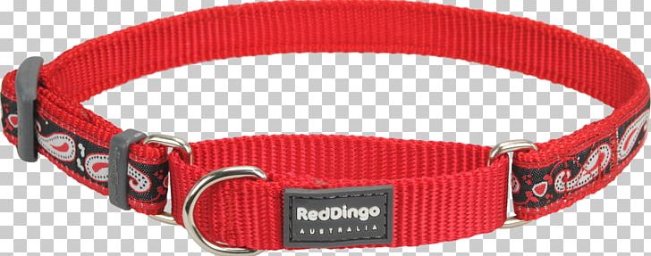 Dog Collar Dingo Clothing Accessories Strap PNG, Clipart, Clothing Accessories, Collar, Dingo, Dog, Dog Collar Free PNG Download