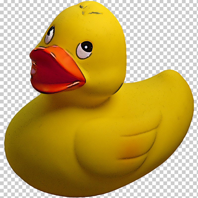 Rubber Ducky Bath Toy Yellow Bird Ducks, Geese And Swans PNG, Clipart, Bath Toy, Beak, Bird, Duck, Ducks Geese And Swans Free PNG Download