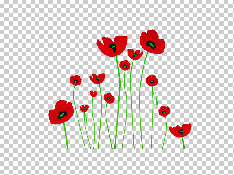 Flower Coquelicot Corn Poppy Plant Poppy PNG, Clipart, Anemone, Bud, Coquelicot, Corn Poppy, Flower Free PNG Download