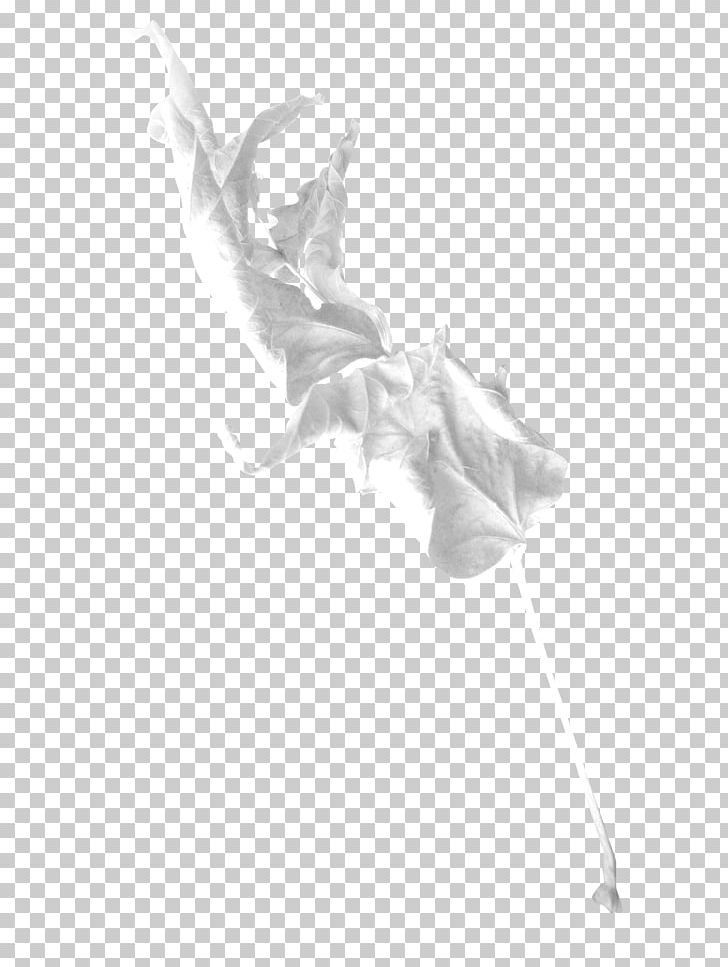 Drawing White /m/02csf PNG, Clipart, Artwork, Black And White, Drawing, Feather, M02csf Free PNG Download