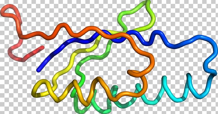Organism Line PNG, Clipart, Area, Art, Calciumbinding Protein, Line, Organism Free PNG Download