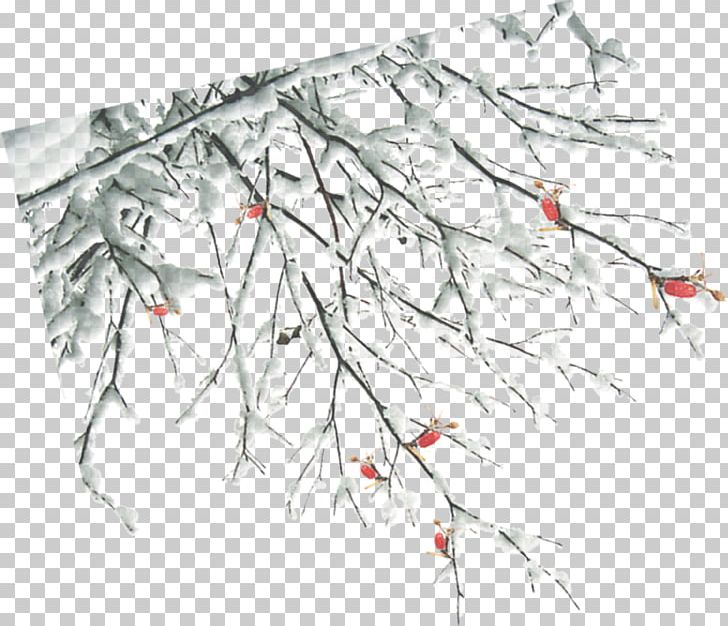 Twig Winter Branch PNG, Clipart, Branch, Branches, Designer, Download, Free Free PNG Download