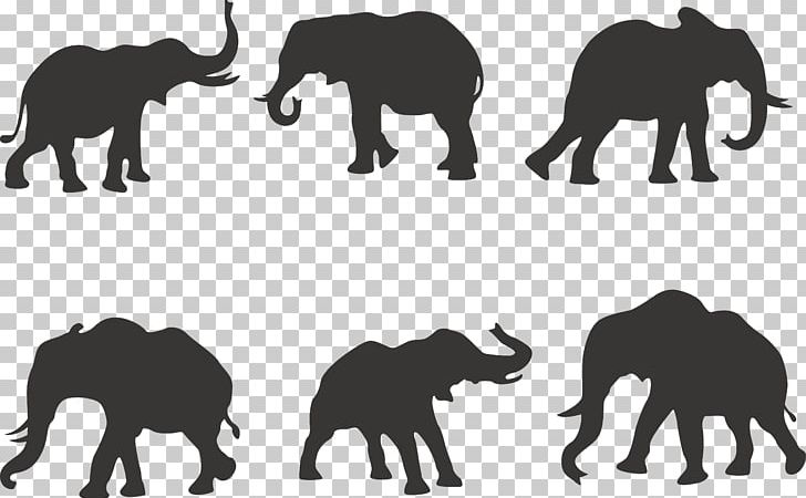 African Elephant Silhouette Indian Elephant PNG, Clipart, Animals, Black And White, Carnivoran, Cartoon, City Silhouette Free PNG Download