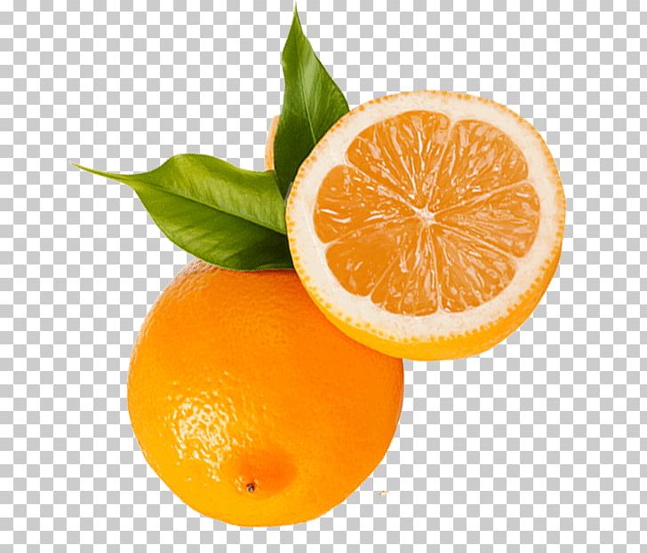 Clementine Mandarin Orange Tangerine Tangelo Rangpur PNG, Clipart, Bitter Orange, Blood Orange, Citric Acid, Citrus, Citrus Sinensis Free PNG Download