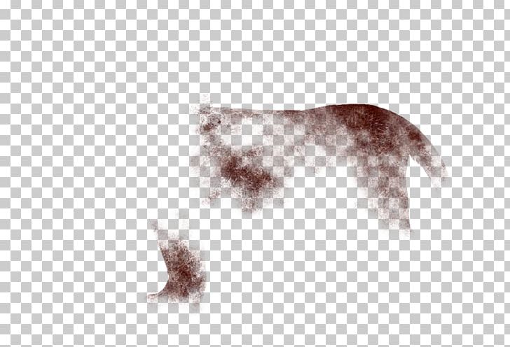 Siamese Cat Fur Canidae Dog Skin PNG, Clipart, Canidae, Carnivoran, Cream, Dog, Dog Like Mammal Free PNG Download