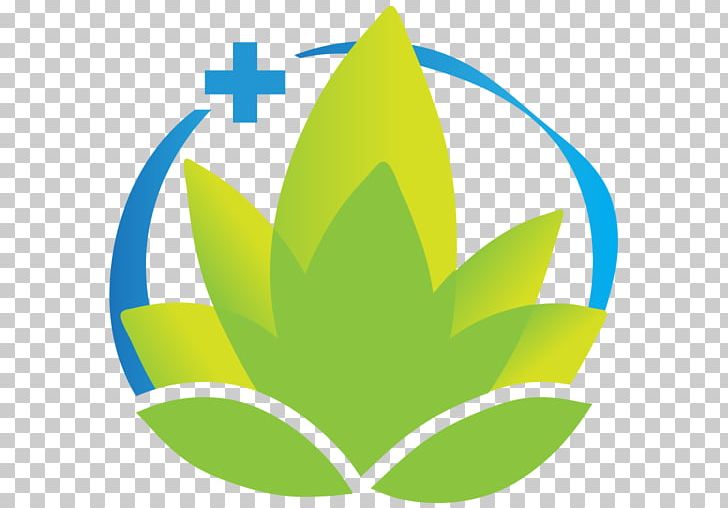 Tree Leaf Plant PNG, Clipart, Flower, Grass, Green, Leaf, Line Free PNG Download